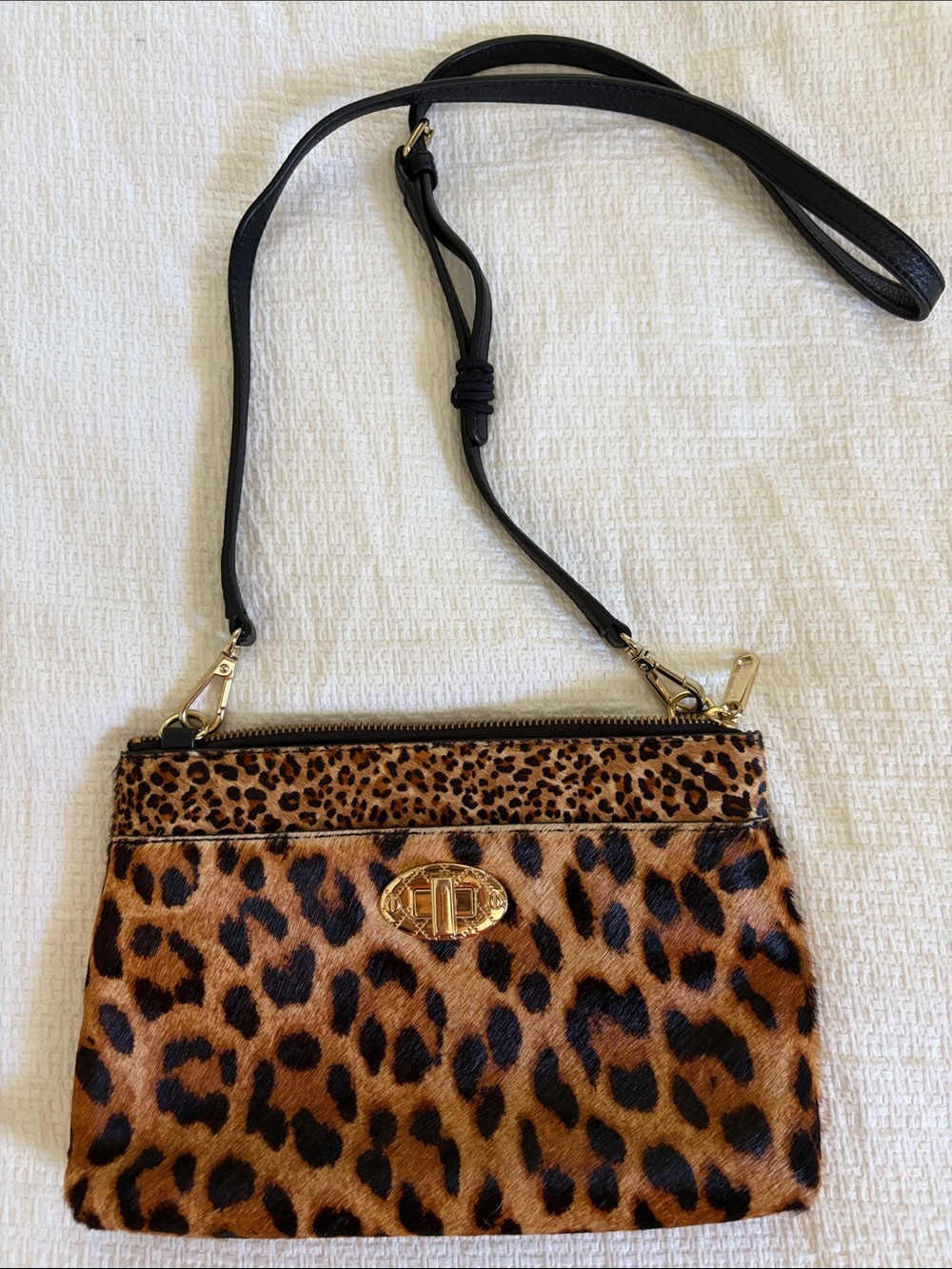 Talbots CALF HAIR CROSSBODY BAG Leopard Print with Gold Turn-Lock